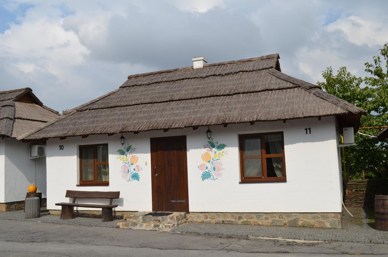 Dyakovtsy Transit Hotel מראה חיצוני תמונה